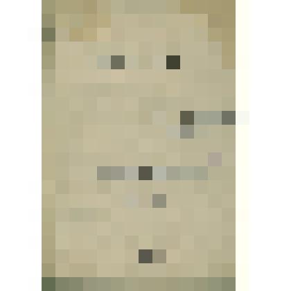 Документы  периода  становления  Сольвычегодского  музея