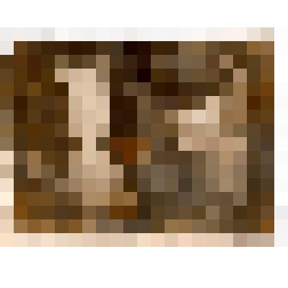 Фотография Джаппуев Камма Супуевич, Джаппуев Чуколай Супуевич - участники Великой Отечественной войны 1941-1945 гг