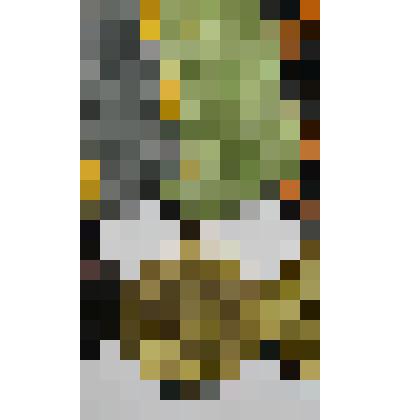 Медаль «За оборону Ленинграда»