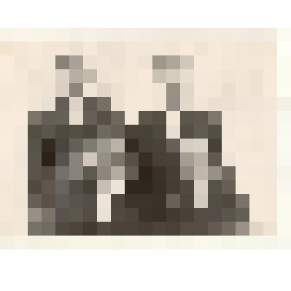 Фотография: чабаны Чапаевского отделения совхоза "Октябрь" Каменского района Алтайского края Гайер А.А., Лукин Н., исакова М., Гайер Э