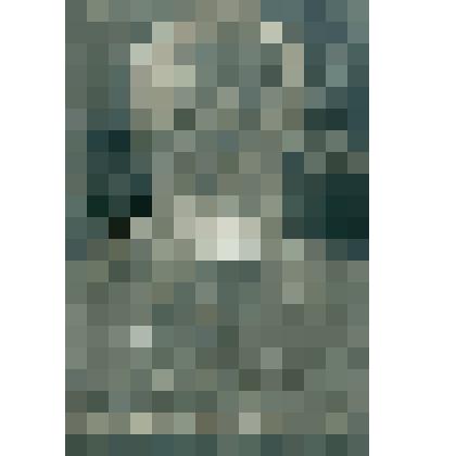 Гравюра "Портрет М.Ю.Лермонтова"