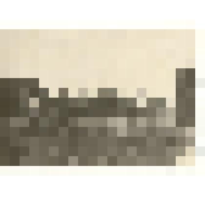 Фотография: уборка урожая в подсобном хозяйстве Каменской жилкооперации. Копия