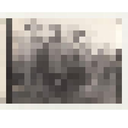 Фотография "Учащиеся возле автобуса"