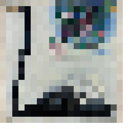 Черный лебедь