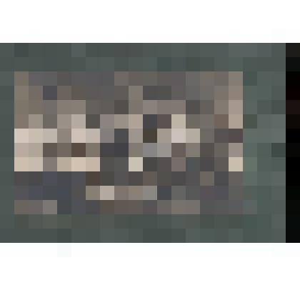 Ф/чб/п. Съезд учителей и работников народного образования г. Покровск (3 ряр 8 слева Гавва Федот Евдокимович, прораб строительной бригады Покровска). АССР НП. 1920-е