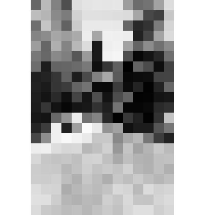 Фото ч/б. Мост через реку Дагуаб