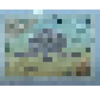 Марка почтовая с изображением морской черепахи