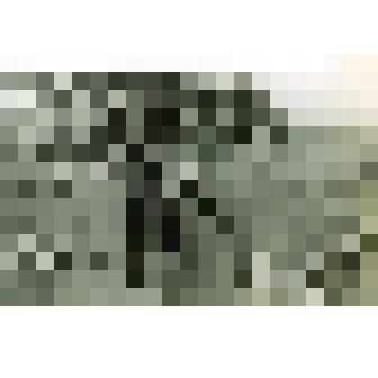 Фото. Галин Н.Т. с фронтовым другом