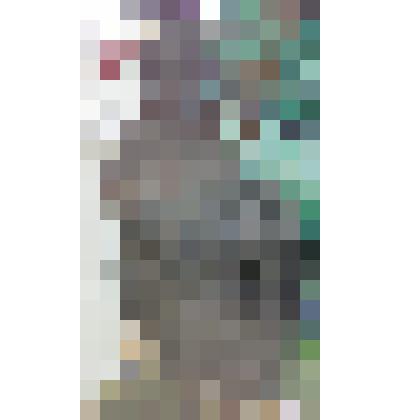 Чучело птицы