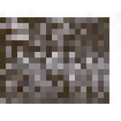 Фотография: генерал-майор Подшивайлов Денис Протасович среди офицеров. Копия