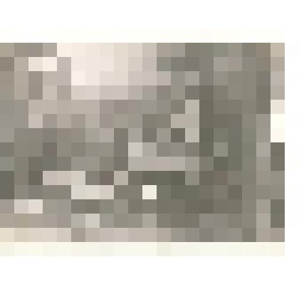 Фотография: экспозиция "Лесостепной ландшафт" отдела природы Каменского краеведческого музея