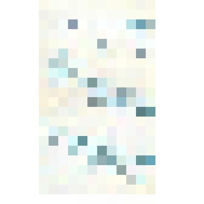 Документ. Письмо Рауш В., географа из города Москвы, Белопухову С. С., бывшему учителю географии средней школы № 3 имени А. Н. Островского города Кинешмы Ивановской области, с рекомендациями опубликовать текст доклада "О проведении географических вечеров