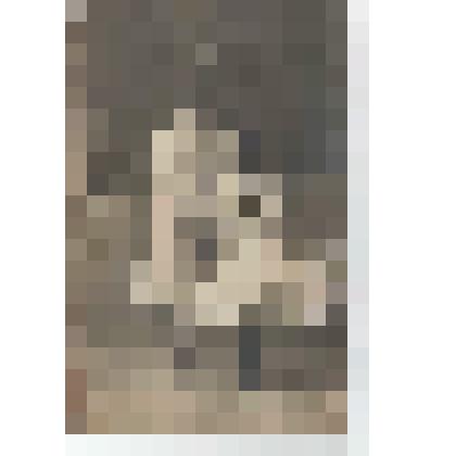 Ф/чб. Портрет двух девочек (поволжские немки, родственники Дизендорф). Баронск (Екатериненштадт). 1910-е