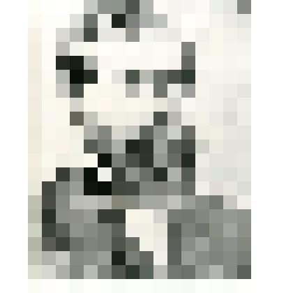 Фотокопия. Чекановский Александр Лаврентьевич- геолог исследователь Якутии ХlХ в