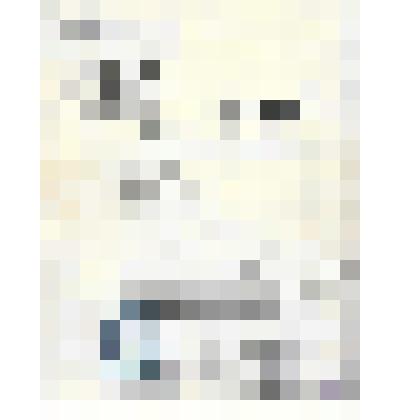 Документ. Свидетельство № 00031 Центральной Военно-Морской школы ДОСААФ СССР Волкову Александру Ивановичу (1924) об окончании курсов по программе инструкторов моделизма. Из коллекции материалов по истории развития Кинешемской организации ДОСААФ (Вторая по