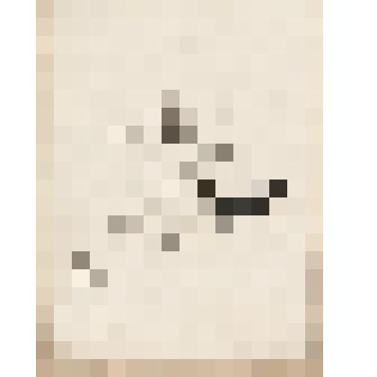 Пастух, из альбома  «190 пейзажей; зарисовки, иллюстрации, карикатуры»