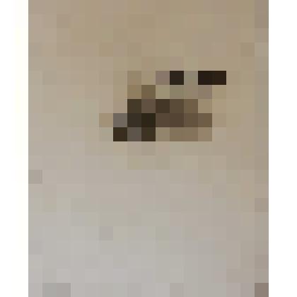 Шмуцтитул "В.Шукшин «Сельские жители»