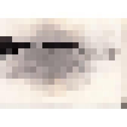 Фотография. Стихийное бедствие, снег