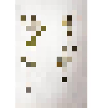 Гербарий
Донник