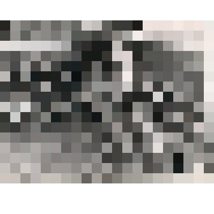 Фотография. Группа детей на прогулке в детском саду по ул.Уральской