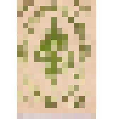 Блокнот для записей