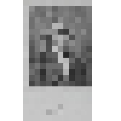 Портрет астронома Араго