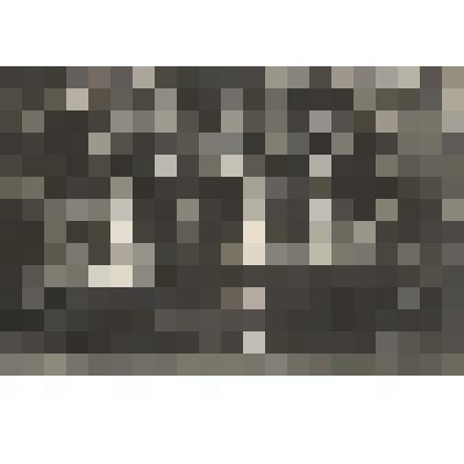 Фото групповое (черно-белое)