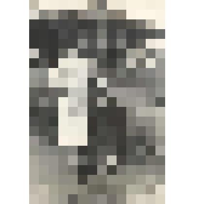 Фото (черно-белое)