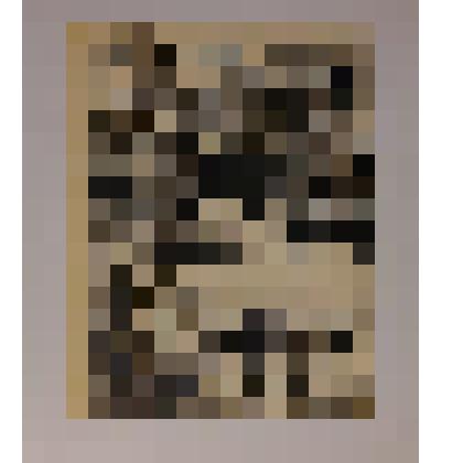 Из книг Д.В. Спиридонова