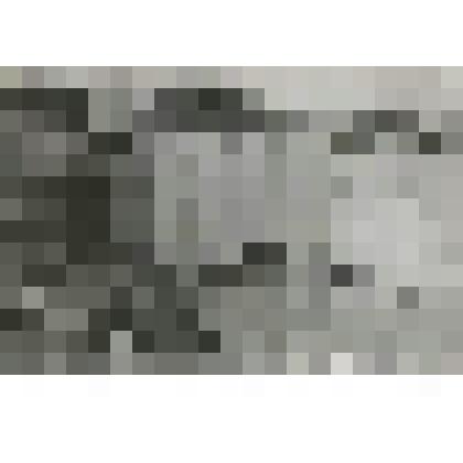 Фотография. Групповой портрет. Коллектив редакции газеты "Едай Ил" на крыльце здания редакции