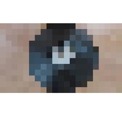 Грампластинка