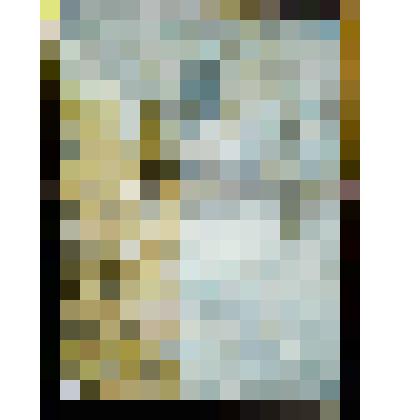 Картина "Зимнее солнышко"