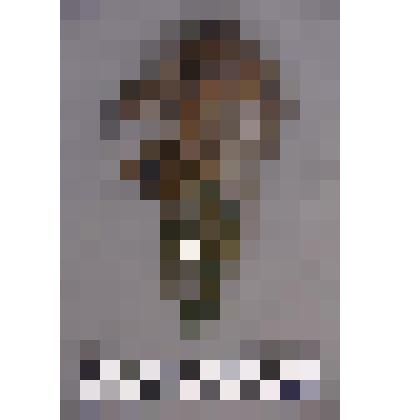 чеканка. Талисман на металлической пластине в виде продолговатого лица человека. Длинные волосы  из меха. На обратной стороне подложка из кожи. Вверху пластины закреплено металлическое кольцо