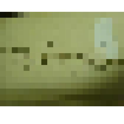 Гербарий. Донник  лекарственный. Из гербария "Флора Ингрика"