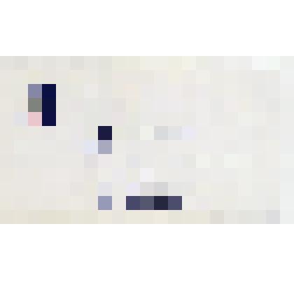 Визитная карточка депутата Городской думы г. Ижевска, организатора антиправительственных акций протеста в Удмуртии А.П. Коновала