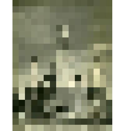 Фотография. Троицкая церковь (1727 г.) в посаде Нёнокса