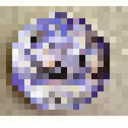 Тарелка сувенирная с логотипом и фотографией Ульяновского государственного университета. Принадлежала Полянскову Юрию Вячеславовичу, ректору УлГУ (1996-2006 гг.), президенту УлГУ, доктору технических наук, профессору