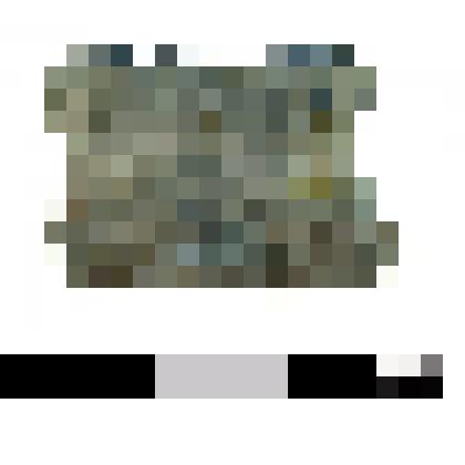 Астрагал свинцовый