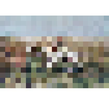 Открытка. А. Мако. По куропаткам