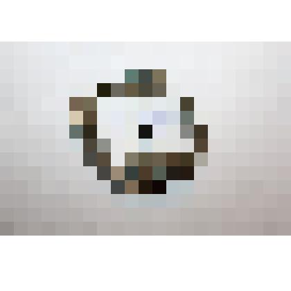 Значок "Отличный пулемётчик". Принадлежал: Калинину А. И