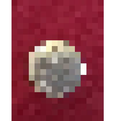 Медаль «50-лет Советской власти. Карачев» Бредихина Г.Е