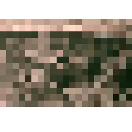 Негатив ч/б "Новоселье"