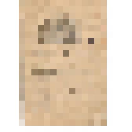 Документ. Книжка служебная красноармейца Агафонова В.А