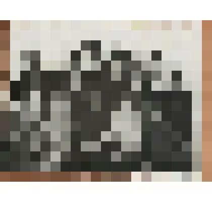 Фотография. Фотография. Комсомольцы 1950-х гг. В центре Толмачёв В.П. 1950-е гг