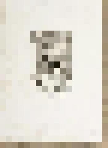 Герб князей Голицыных. С рисунка Э.К. Липгарта. Оттиск чёрным тоном