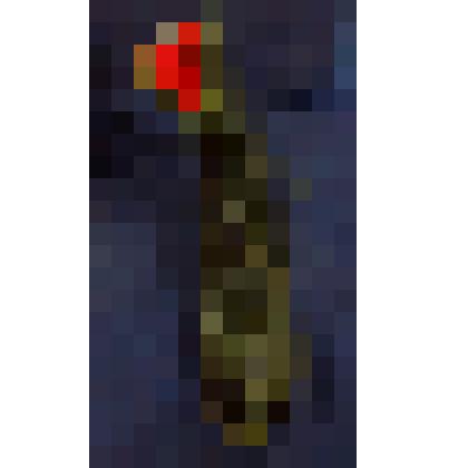 Ботинок женский (левый)