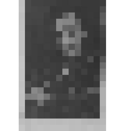 Фотография. Артист Мосин-Новосельский Михаил Сергеевич