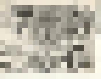 Фотография: участок молодого кукурузовода Шефера Н. шестой бригады колхоза XX партсъезда Каменского района Алтайского края. Секретарь парторганизации Морозова И.И. проверяет качество обработки плантации