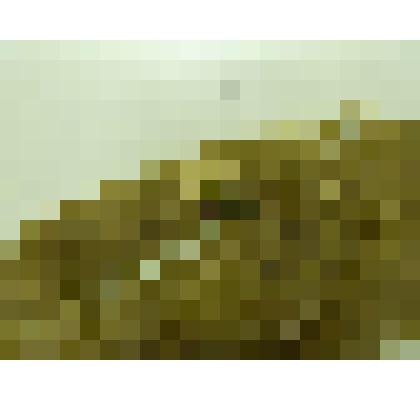 Мочка льняная