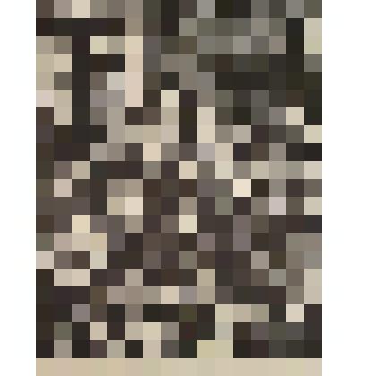 Иллюстрация к 11 главе